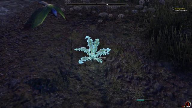 The Elder Scrolls Online PC - 2022-08-29 18:24 Gameplay смотреть онлайн