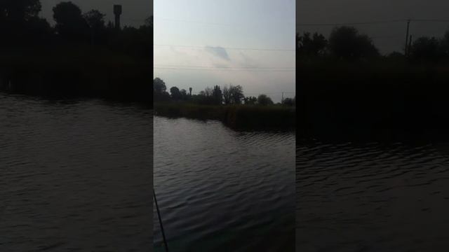 Где в Краснодаре можно рыбачить смотреть онлайн