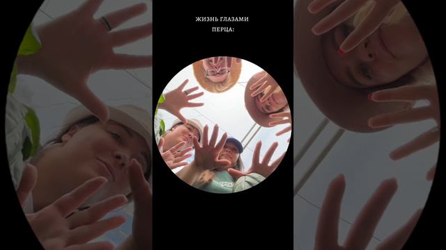 ЖИЗНЬ ГЛАЗАМИ ПЕРЦА ) смотреть онлайн