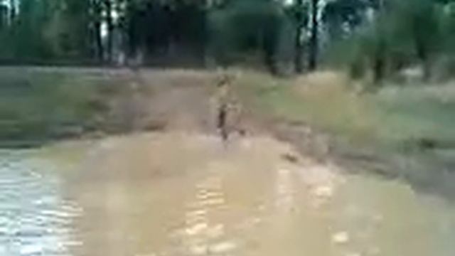 Naked kid jumping in to a cow pond смотреть онлайн