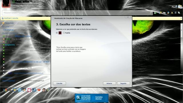 Como criar máscaras (fundo) para msn plus 2009 смотреть онлайн