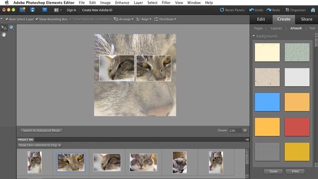 Creating and Sharing a Photo Collage with Photoshop Elements 10 смотреть онлайн