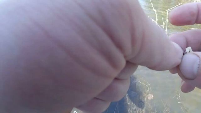 Рыбалка в заброд смотреть онлайн