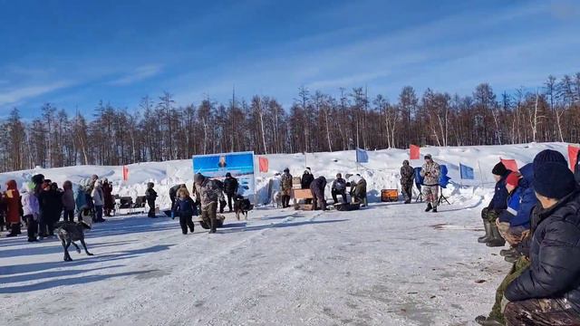 куйуур 2023 смотреть онлайн