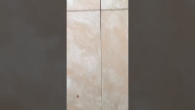 Салфеткой чистим швы между плиткой смотреть онлайн