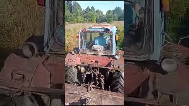 По полям,по полям синий трактор МТЗ 😁 смотреть онлайн