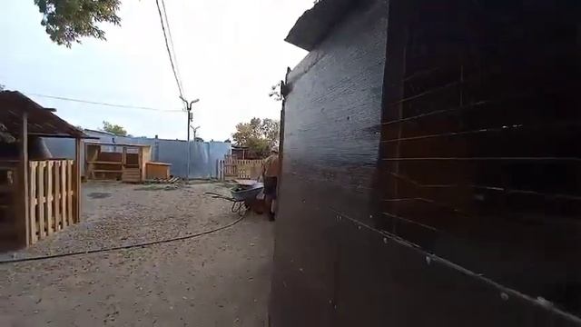 Приют "Я - живой" г. Оренбург смотреть онлайн