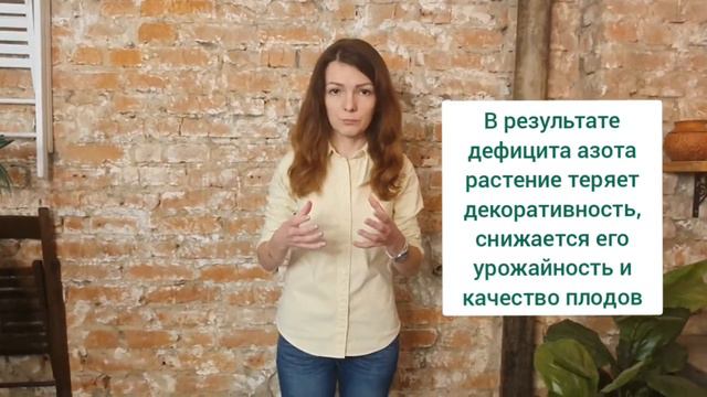 Азот и признаки его дефицита смотреть онлайн