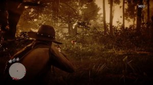 RDR 2 - Легендарная пантера Гиагуаро