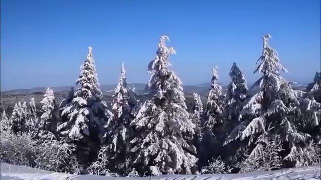 Сытники Света и Андрей все тужатся, Кока пищит \ Saveliy Ad - Самвел Адамян \ grandenikо vlog смотреть онлайн