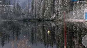 Сиг/My fishing world/мой рыболовный мир. Где и на что ловится!!!