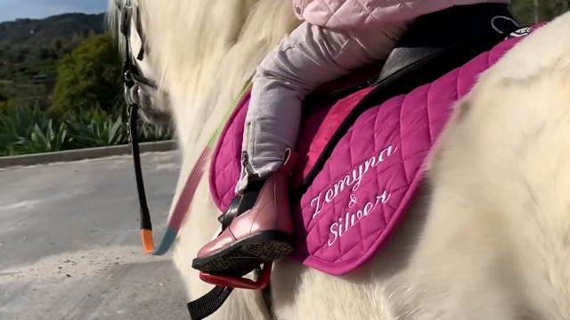 The Cutest Little Toddler Horse Rider And Her Pony