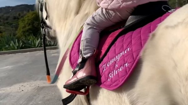 The cutest little toddler horse rider and her pony