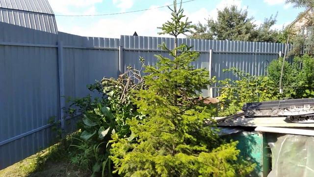 В гостях на даче. Часть 2-я. смотреть онлайн