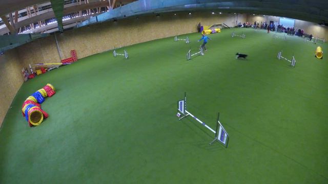 Д0 (1 трасса)_eMotion Dog School_Кочетова Елена 01.04.2018