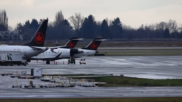 ? Vancouver Airport LIVE - Welcome Back Henry