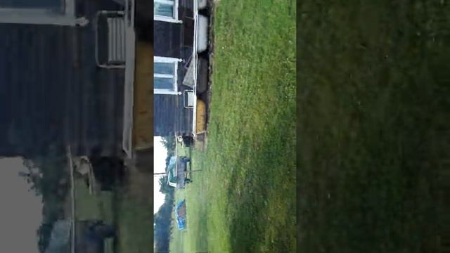 Последний день холостяка. смотреть онлайн