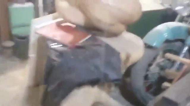 ТДМ- творческая дача-музей(вечерняя прогулка) смотреть онлайн