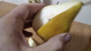 5 октября 2022. Обзор и проба сортов груши Просто Мария и Ника.