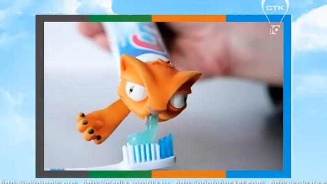 Товаровед (21.04.14.) Тюбик смотреть онлайн