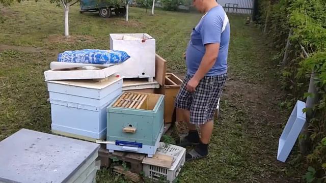 Пересадка пчелиной семейки из нуклеуса в улей смотреть онлайн