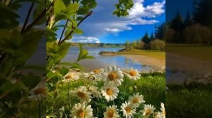 ПЕСНЯ "ПОКАЯНИЕ" ПОЁТ АЛМАС БАГРАТИОНИ. ПРОСТИ, ГОСПОДЬ, ЗА СЛЕЗЫ МАТЕРИ..