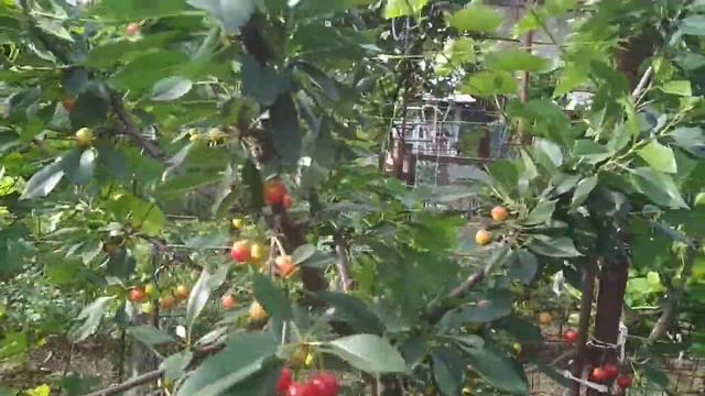 Строительные Шедевры