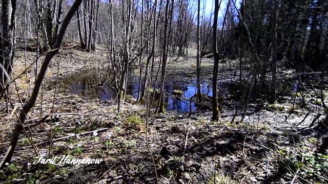 Иремель,май 2013 года смотреть онлайн