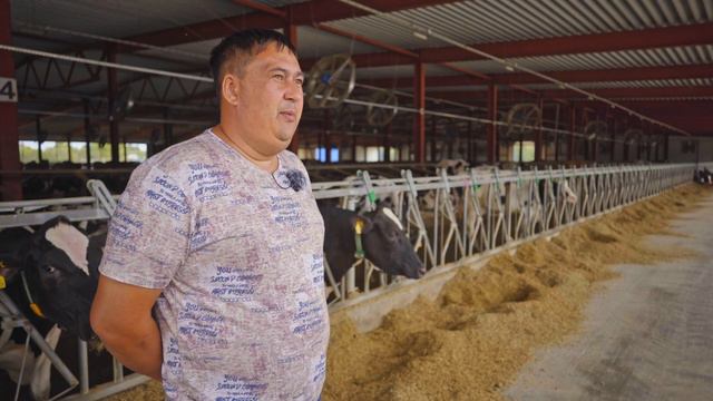 Отзыв о компании АГРИДА от ООО «Август»