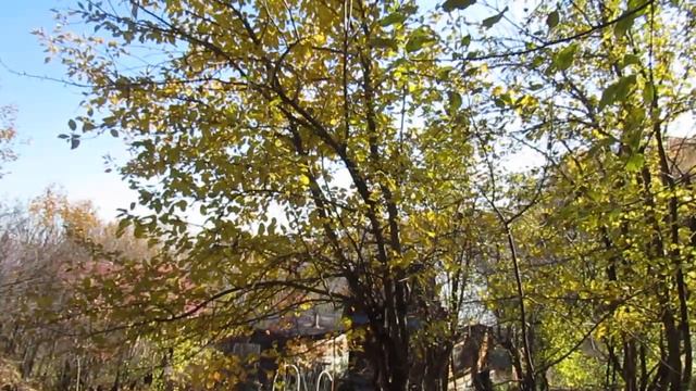 Там, где дожди беспрерывно уж день какой... смотреть онлайн