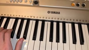 Обзор синтезатора Yamaha PSR E313