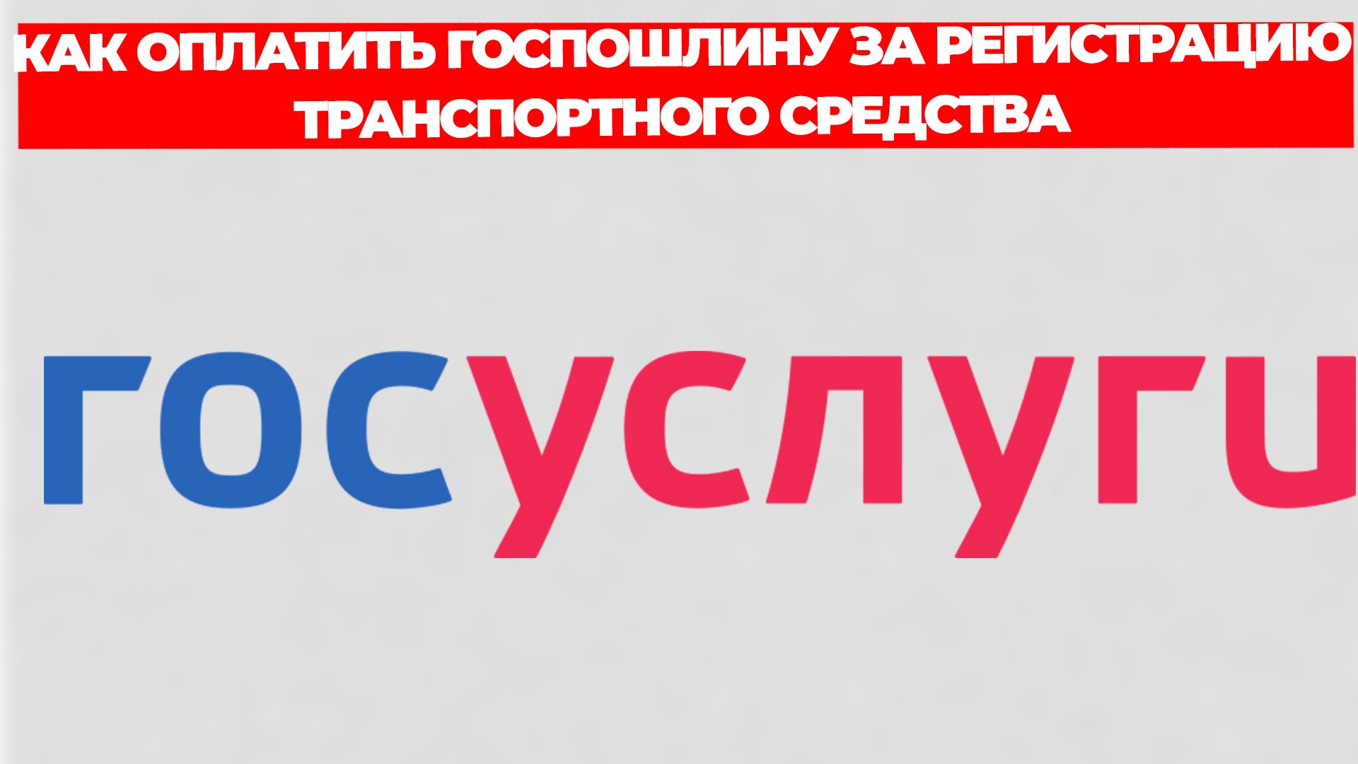 Всезнающий Енот