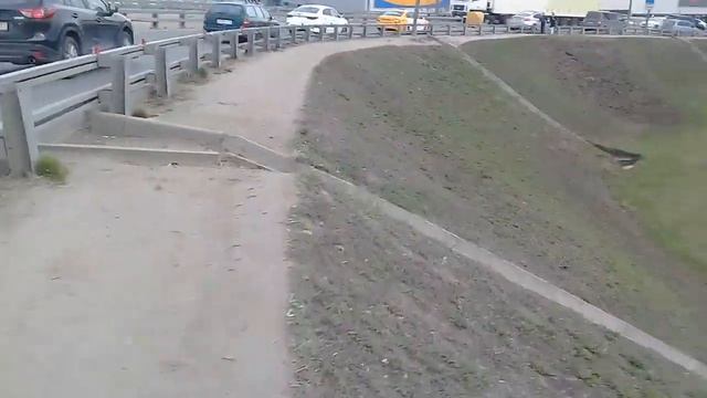 Садовод Белая Дача Мега смотреть онлайн