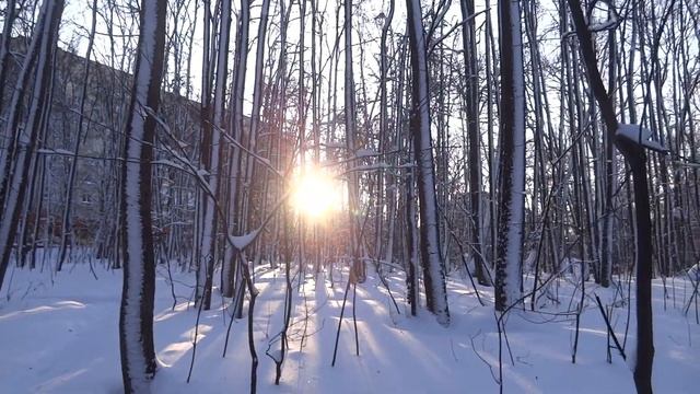 город уфа сильный мороз - 30 градусов.прогулка по городу и лесу утром.7 января 2023 смотреть онлайн