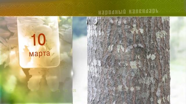 10 Марта - Ежедневный Народный Календарь смотреть онлайн