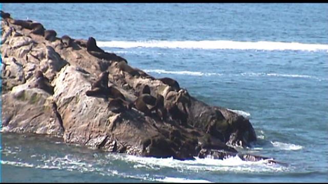 2005 08 14 La Serena смотреть онлайн