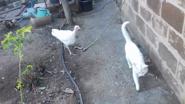 не много обо всём!!!25 мая 2021 г. смотреть онлайн