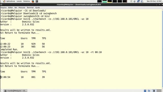 Oracle Tuning - Executando teste de carga - modo texto смотреть онлайн