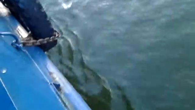 Паром, Балтийская коса смотреть онлайн