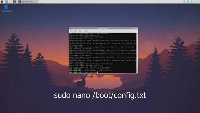 Jellyfin Media Server on Raspberry Pi (With Hardware Acceleration) How to install & setup |By TH смотреть онлайн
