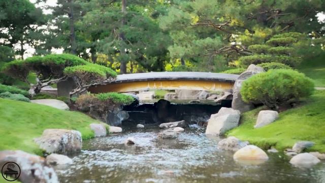 Flow Meditation #6 | Healing Waterfall смотреть онлайн
