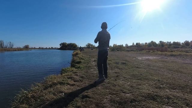 Рыбалка на реке Меша. Прогулка со спиннингом. смотреть онлайн