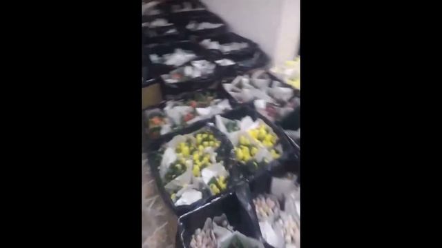 4.200.000 тюльпаны оптом 2019 год. смотреть онлайн