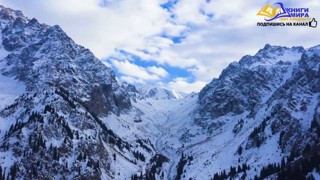 Просветленный Раскрыл Как Обмануть Систему! Лайфхаки Быстрого Просветления! l НИКОШО и Роберт Адамс смотреть онлайн