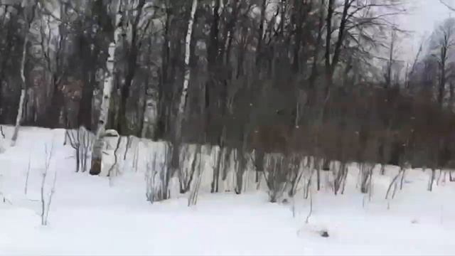 Моя Малая Родина (Брылино-Пушгоры) смотреть онлайн