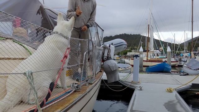 На яхте с собакой. Ловим рыбу на собаку! смотреть онлайн