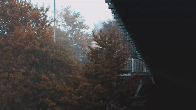 Lluvia Relajante en el Techo para Dormir en 15 Minutos - Sonido de Lluvia en Bosque Brumoso смотреть онлайн