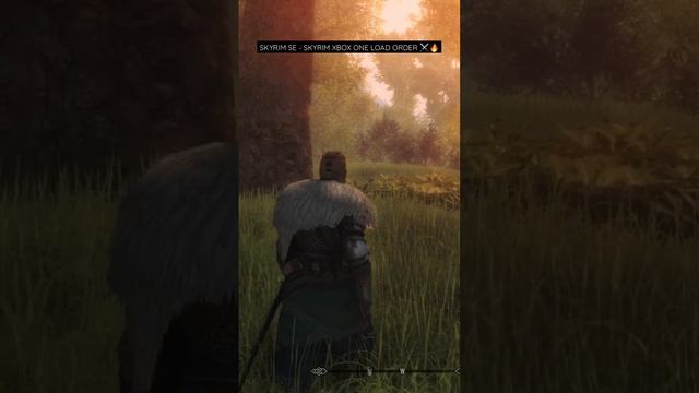 Skyrim SE - Skyrim Xbox One Stable Load Order Skyrim Mods 2022 смотреть онлайн