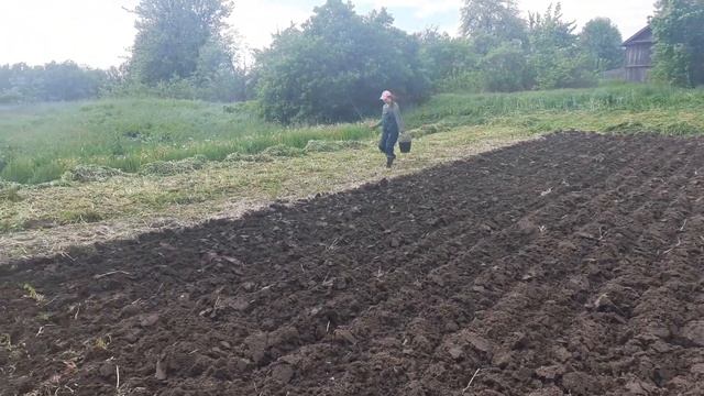 Света сажает картошку! смотреть онлайн