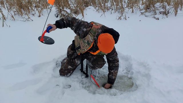 РЫБАЛКА НА ЖЕРЛИЦЫ В ПРОТОКЕ 2024 смотреть онлайн
